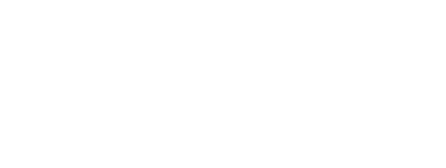 Dream Downtown Logo