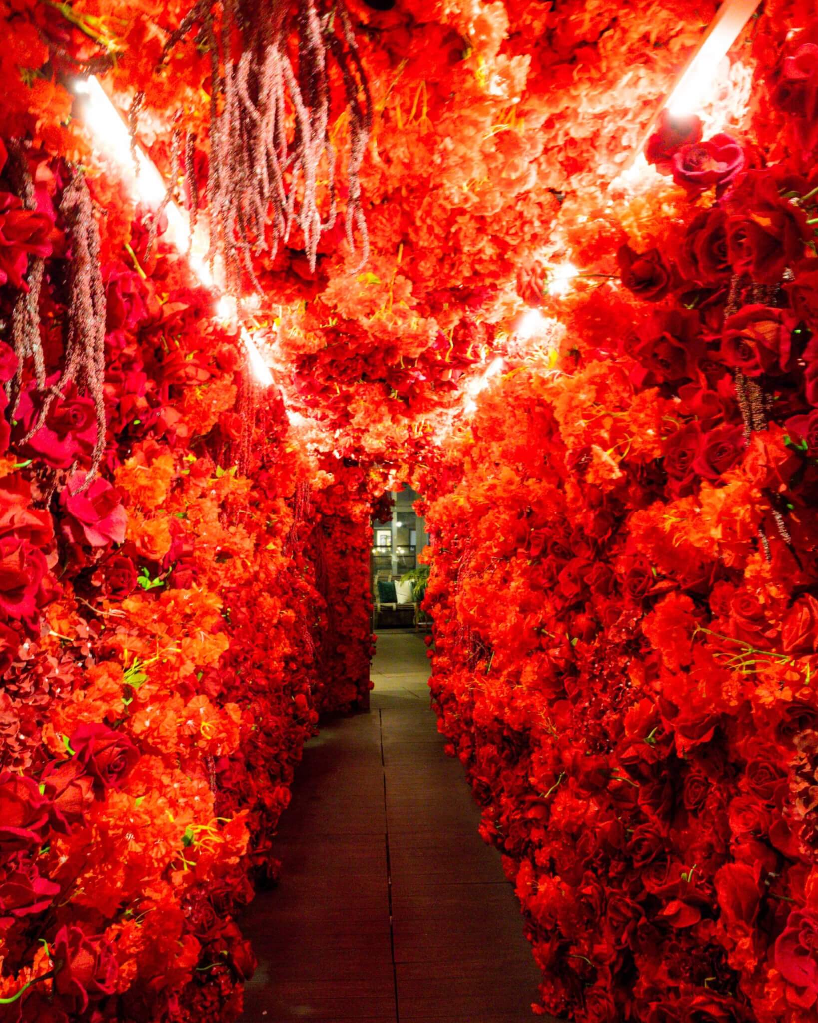 flower tunnel at phd terrace nyc