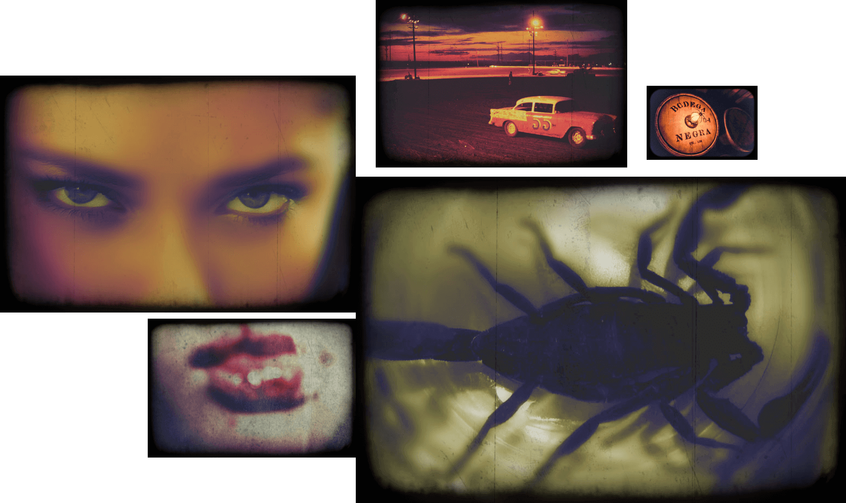 bodega negra gallery