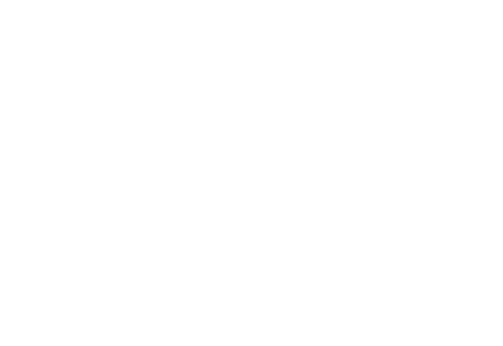 Luchini Logo