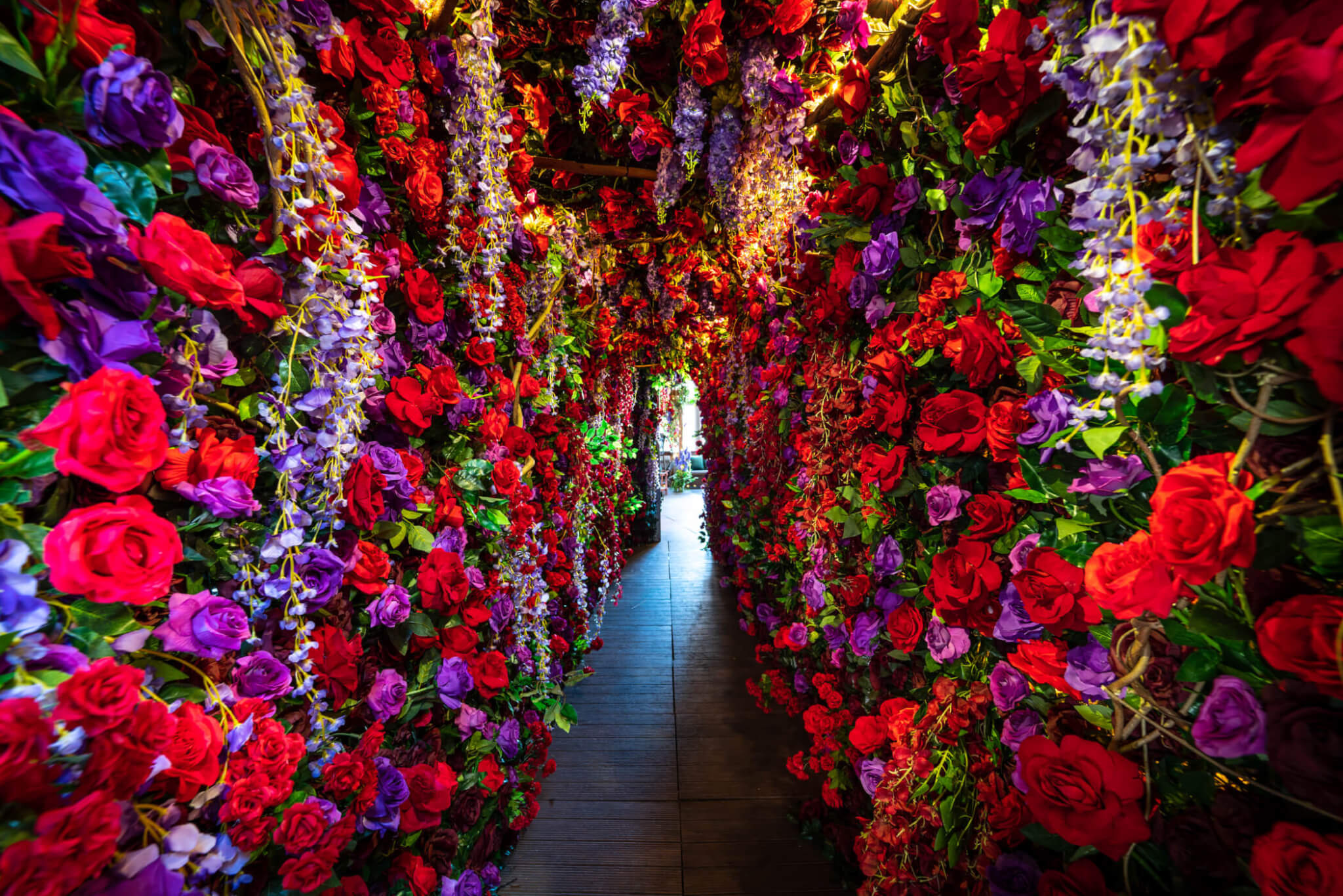 PHD Terrace Flower Tunnel