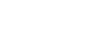 TAO Logo