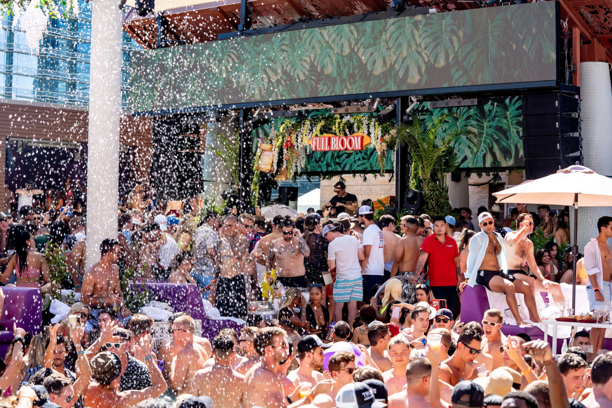 Las Vegas Pool Parties  The Hottest Dayclubs [2024]