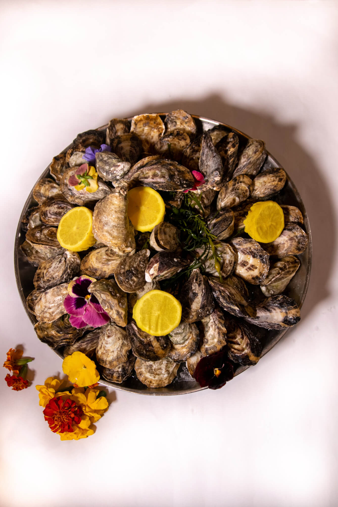 LAVO Las Vegas - Oysters on the Half Shell