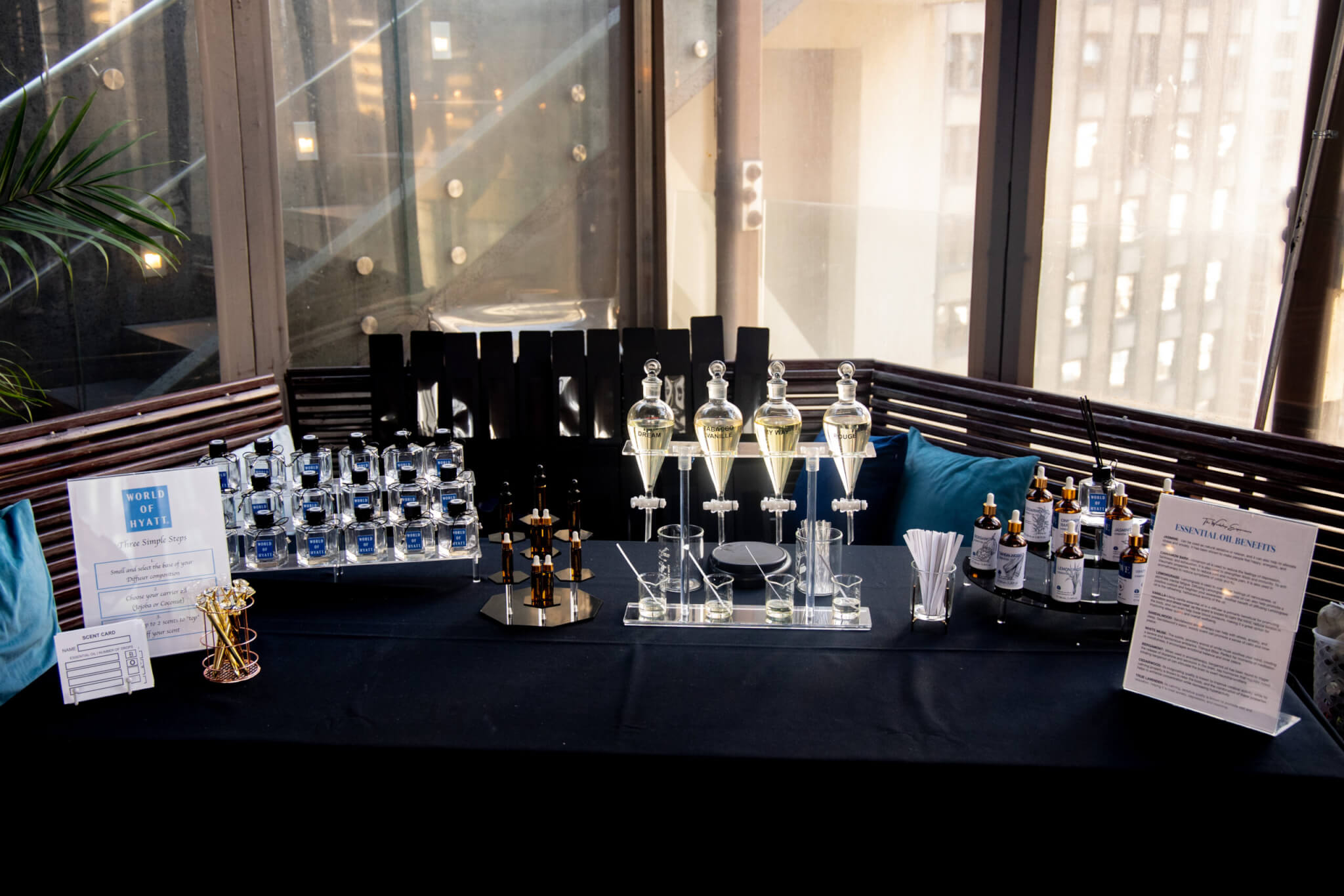 workd of hyatt fragrances