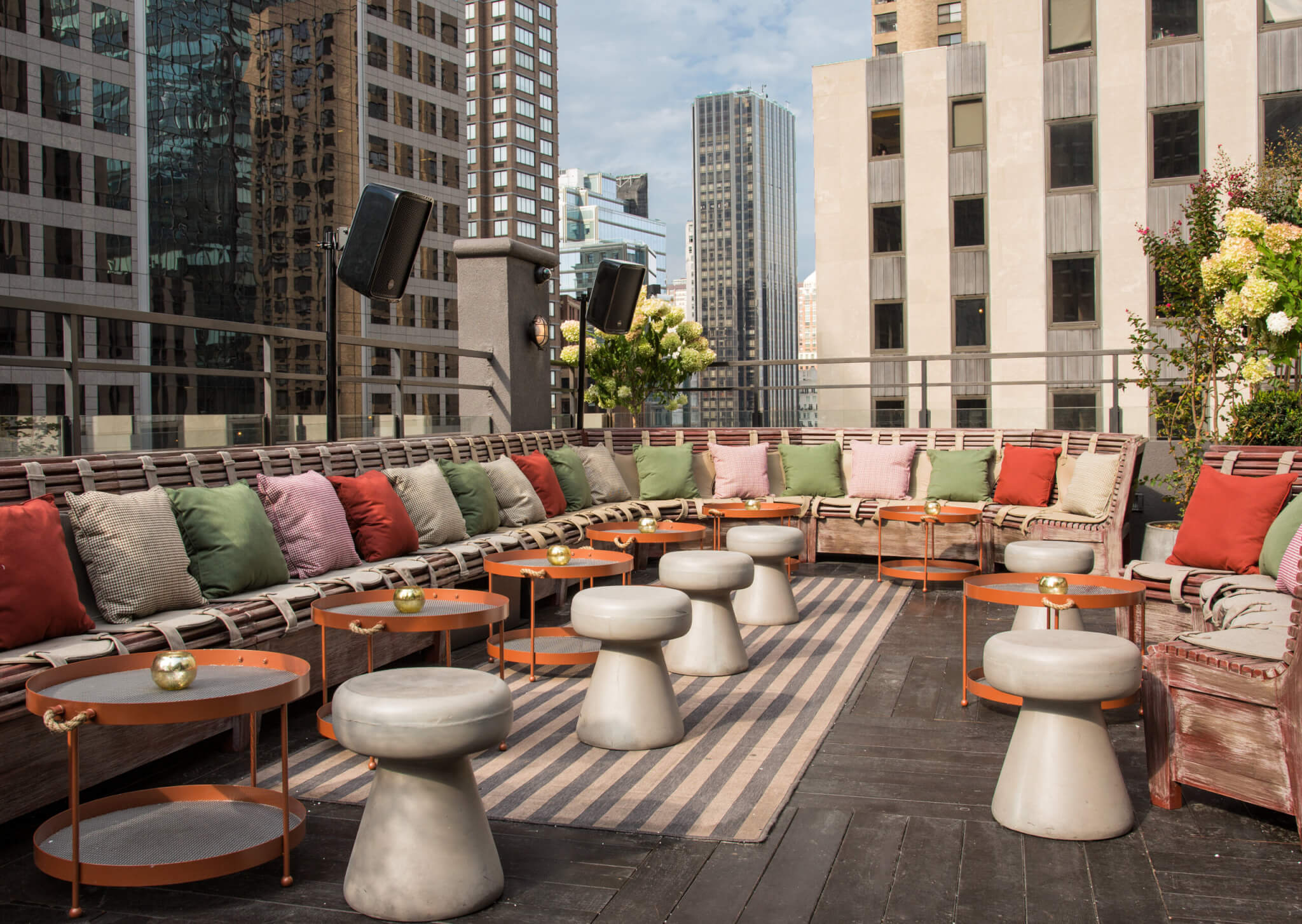 phd terrace