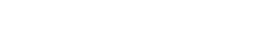 LAVO