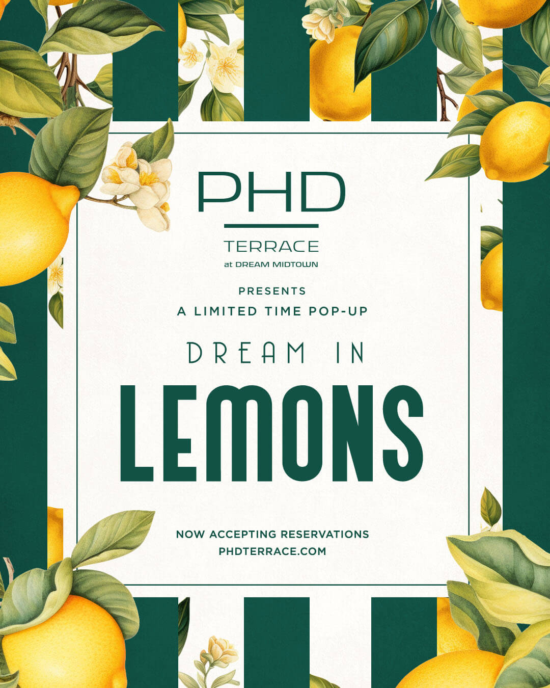 dream in lemons