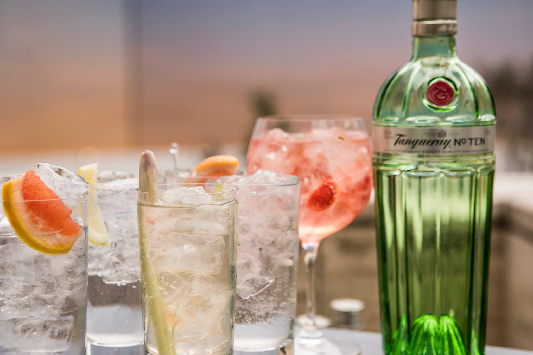 Tanqueray Bottle and Gin Cocktails