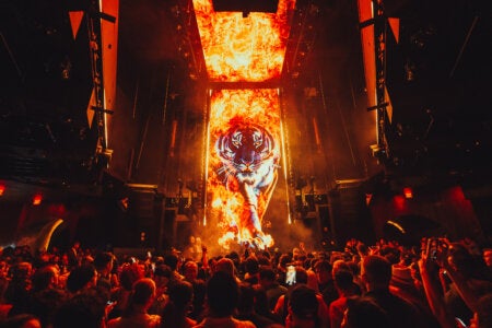 Tiger on LED screen at Marquee Nightclub