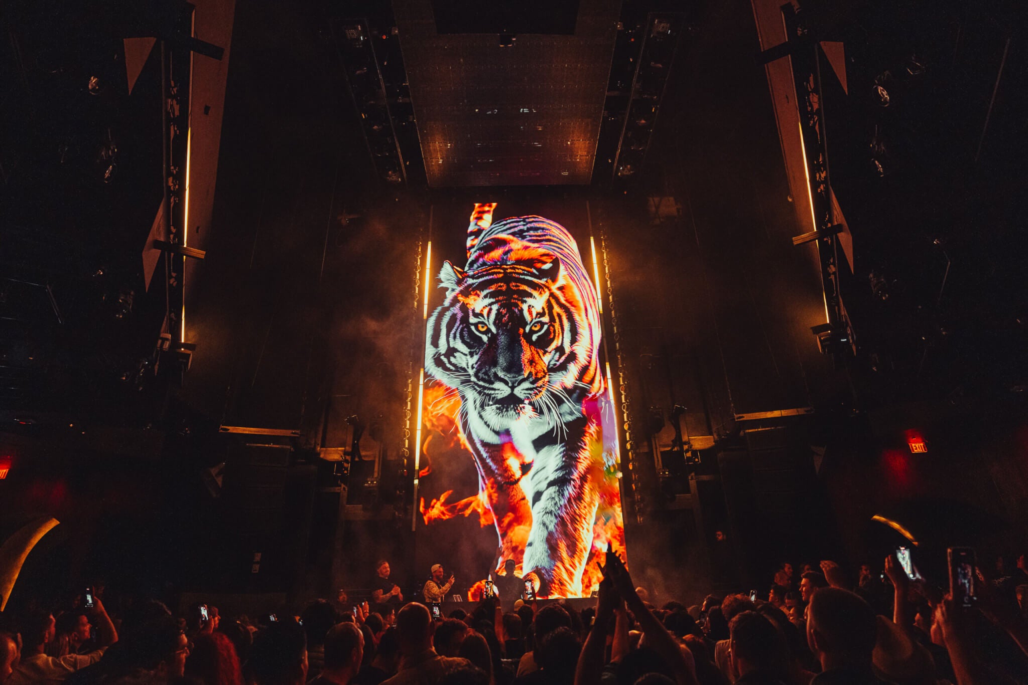 Tiger on LED screen at Marquee Nightclub