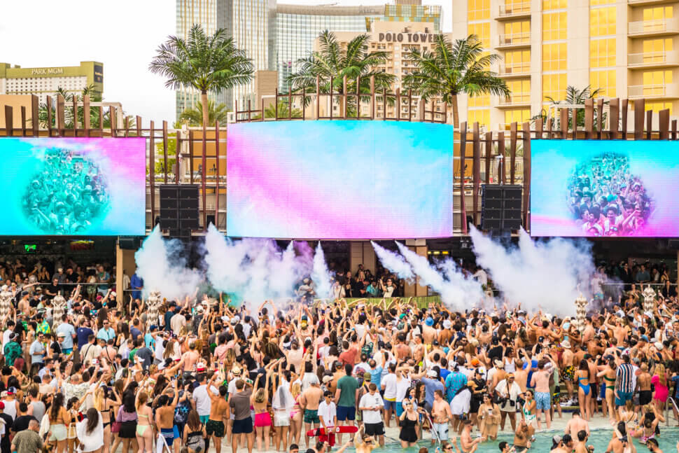 palm tree beach club