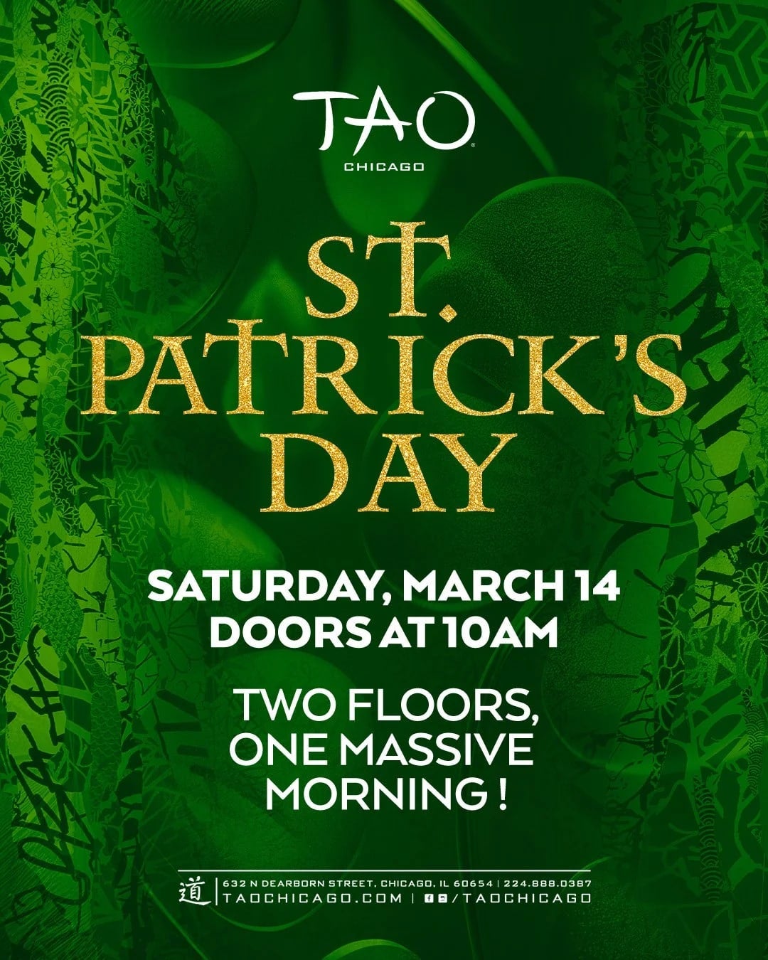 Artist Image - St Patrick's Daytime Party