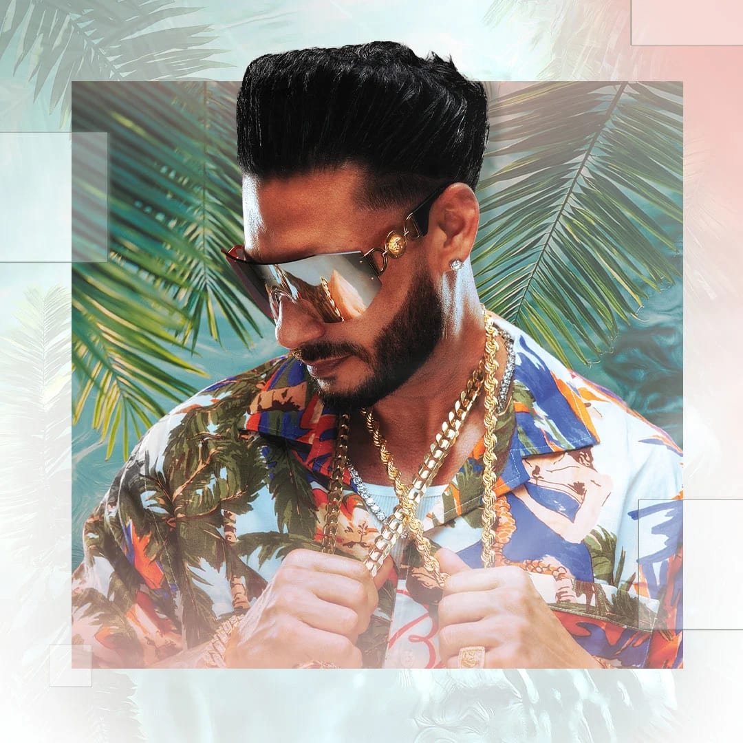 Artist Image - DJ Pauly D