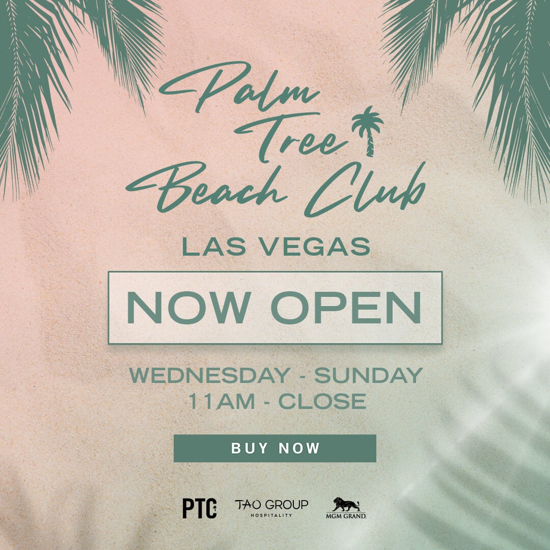 palm tree now open