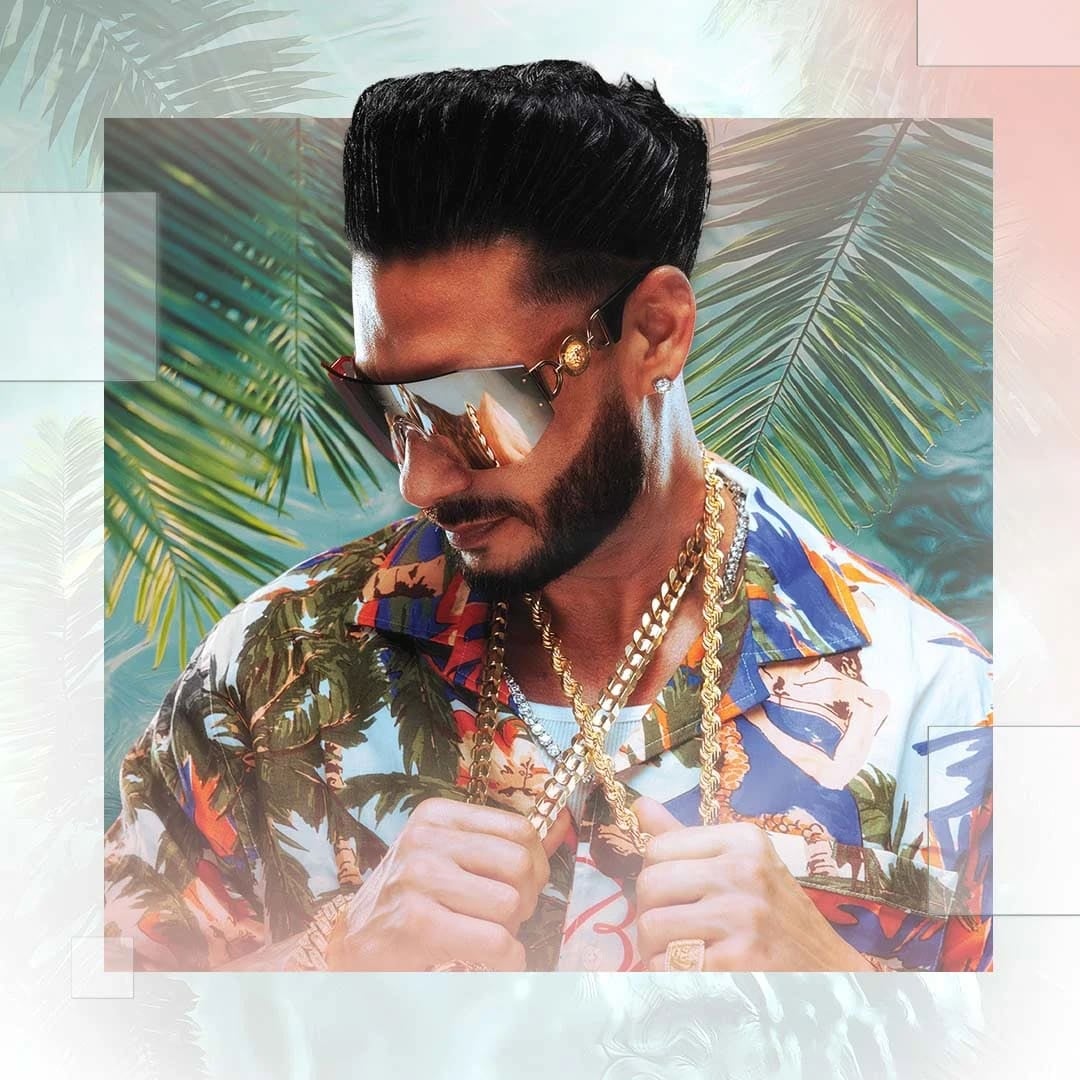 Artist Image - DJ Pauly D