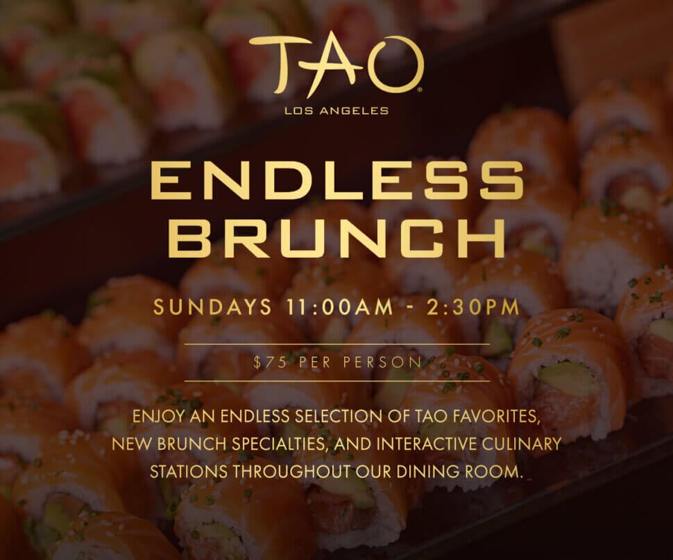 endless brunch website pop up